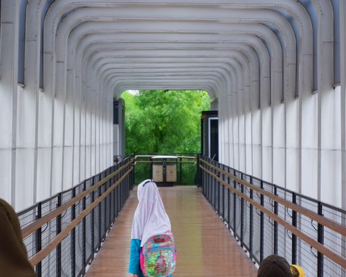 Commuter walking comfortably near a TransJakarta bus stop
